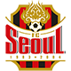 FC Seoul FC Seoul